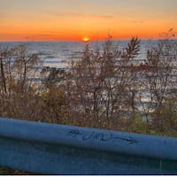 Original reference photo