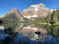 Original reference photo