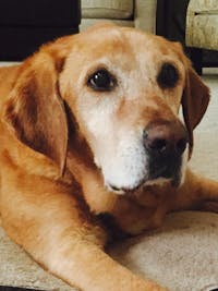 Original reference photo