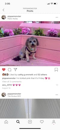 Original reference photo