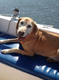 Original reference photo