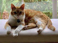 Original reference photo