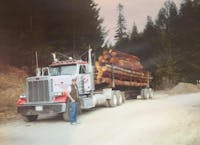 Original reference photo