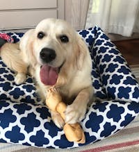 Original reference photo