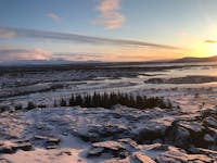 Original reference photo