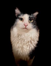 Original reference photo