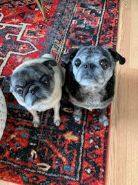 Original reference photo