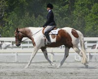 Original reference photo