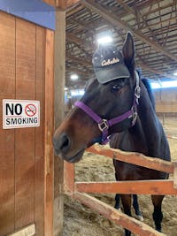 Original reference photo