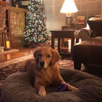 Original reference photo