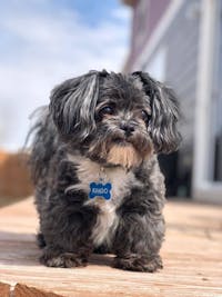 Original reference photo