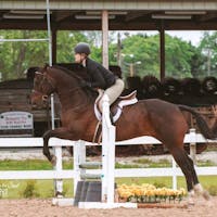 Original reference photo