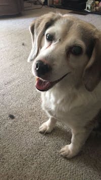 Original reference photo