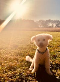 Original reference photo