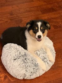 Original reference photo