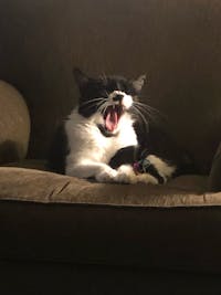 Original reference photo