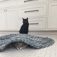 Original reference photo