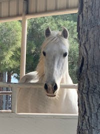 Original reference photo