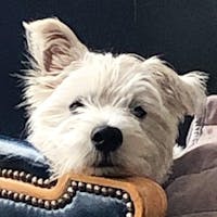 Original reference photo