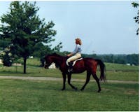 Original reference photo