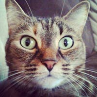 Original reference photo