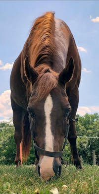 Original reference photo