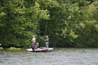 Original reference photo