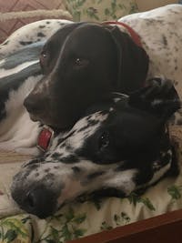 Original reference photo