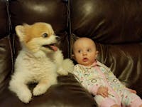 Original reference photo