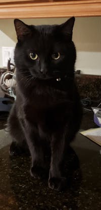 Original reference photo