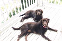 Original reference photo