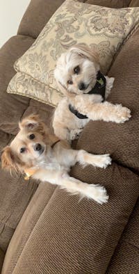 Original reference photo