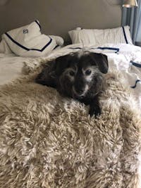 Original reference photo