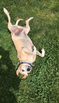 Original reference photo