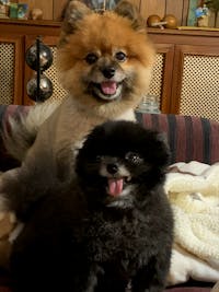 Original reference photo