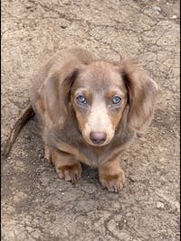 Original reference photo