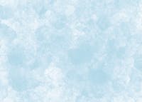 Original reference photo