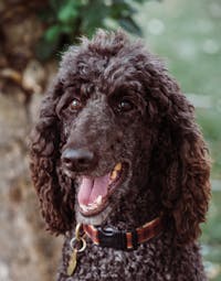 Original reference photo