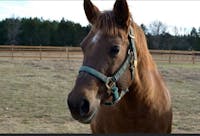 Original reference photo