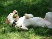 Original reference photo