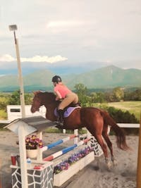 Original reference photo