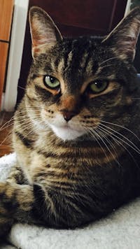 Original reference photo