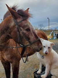 Original reference photo