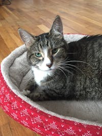 Original reference photo