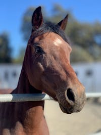 Original reference photo