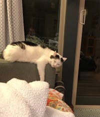 Original reference photo