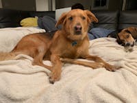 Original reference photo