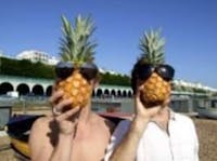 Original reference photo