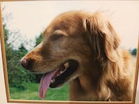 Original reference photo