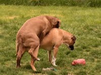 Original reference photo